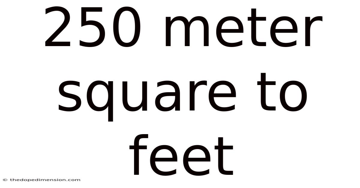 250 Meter Square To Feet