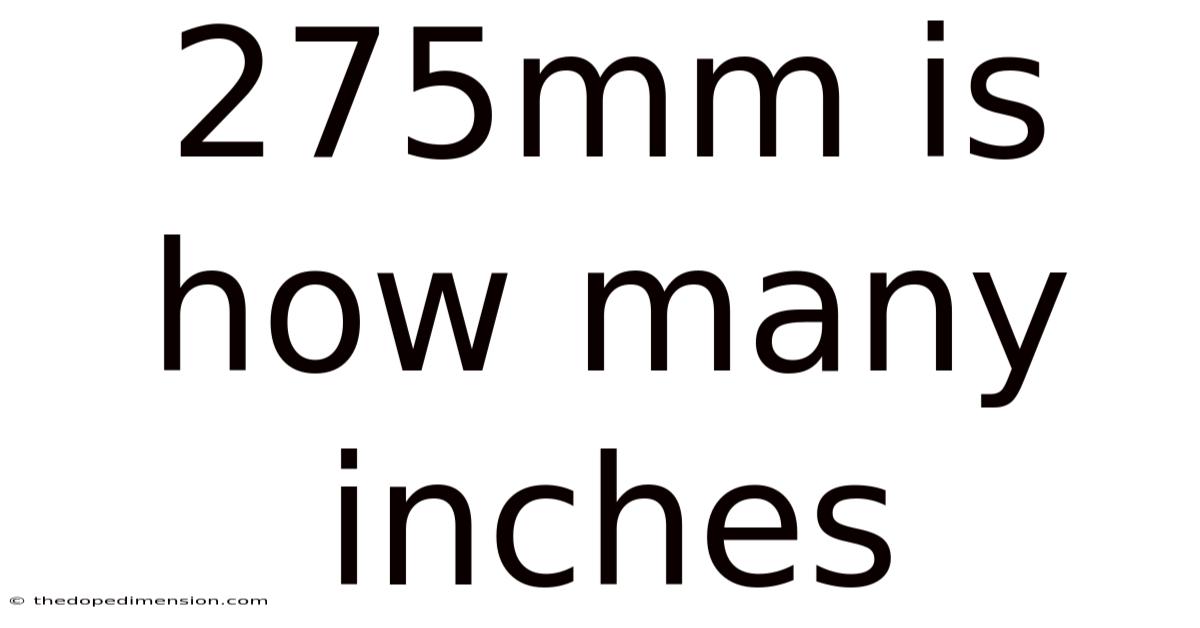 275mm Is How Many Inches