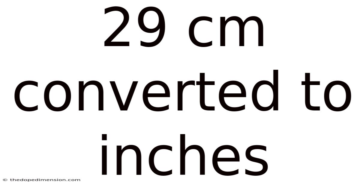 29 Cm Converted To Inches