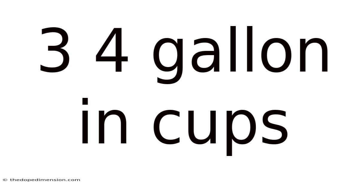 3 4 Gallon In Cups