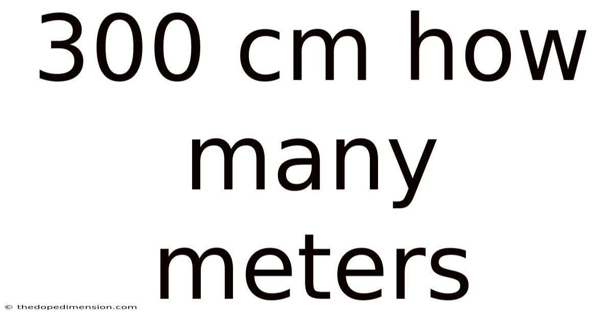 300 Cm How Many Meters