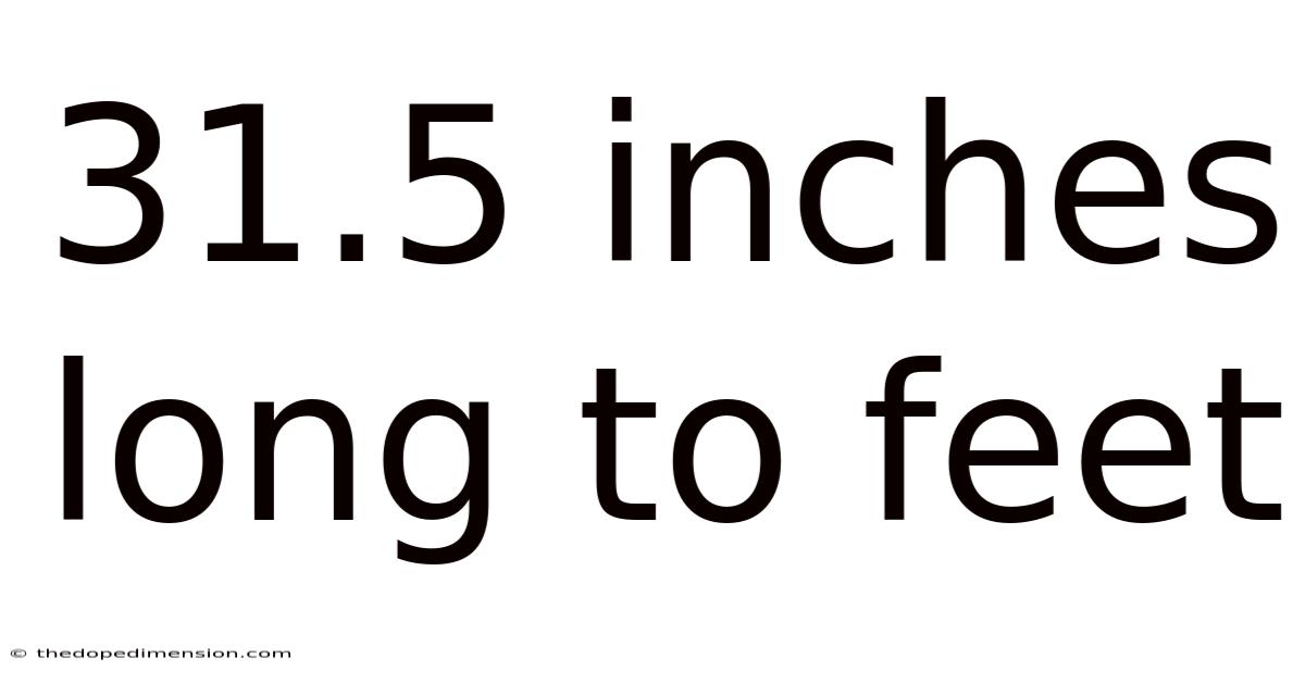 31.5 Inches Long To Feet