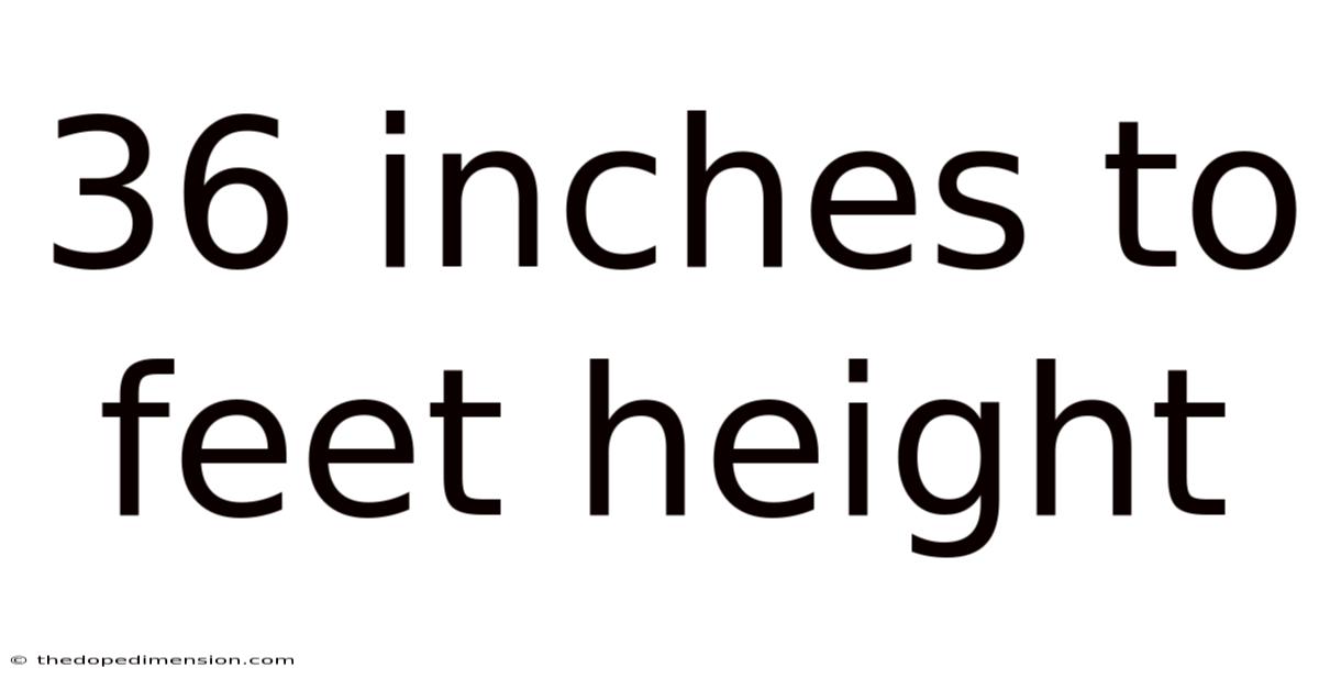 36 Inches To Feet Height