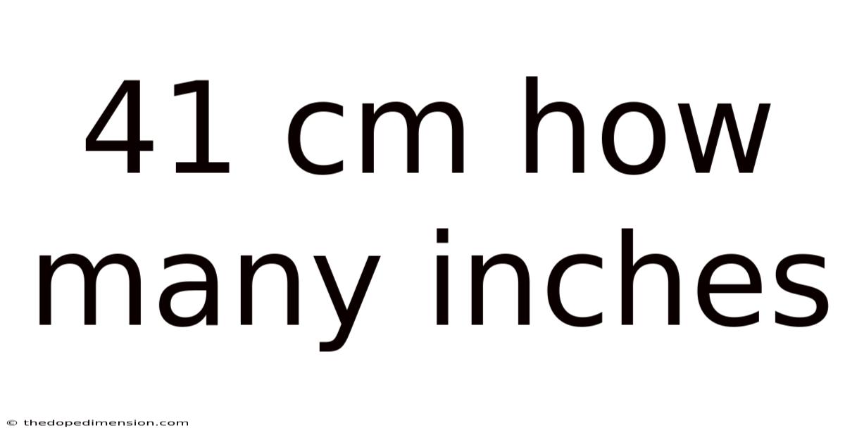 41 Cm How Many Inches