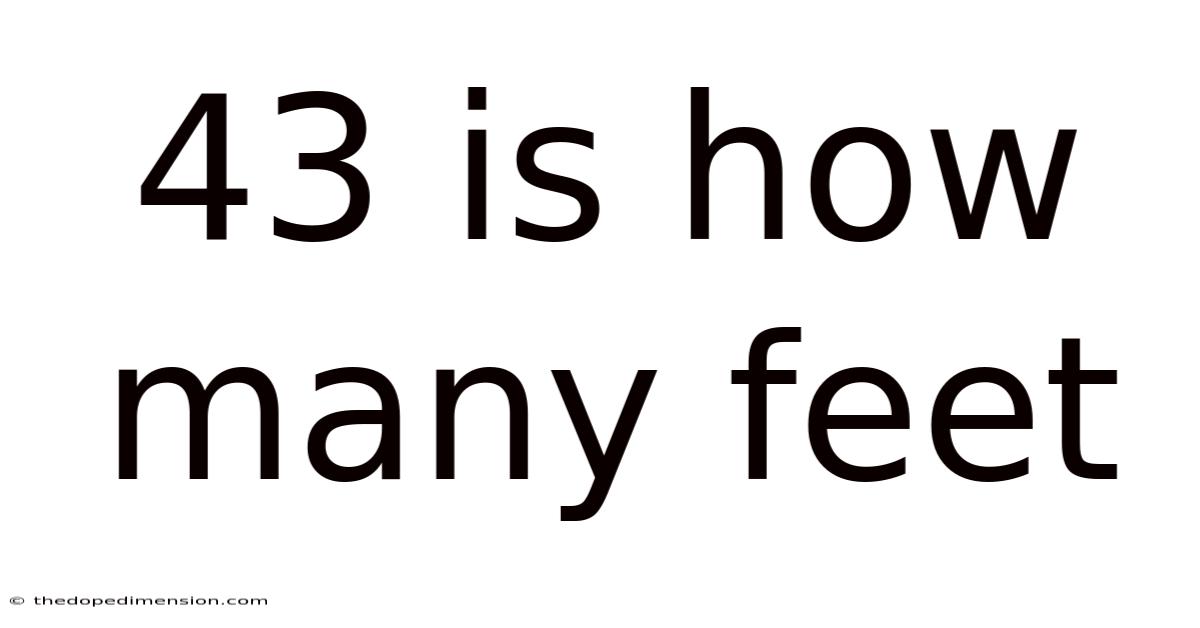 43 Is How Many Feet