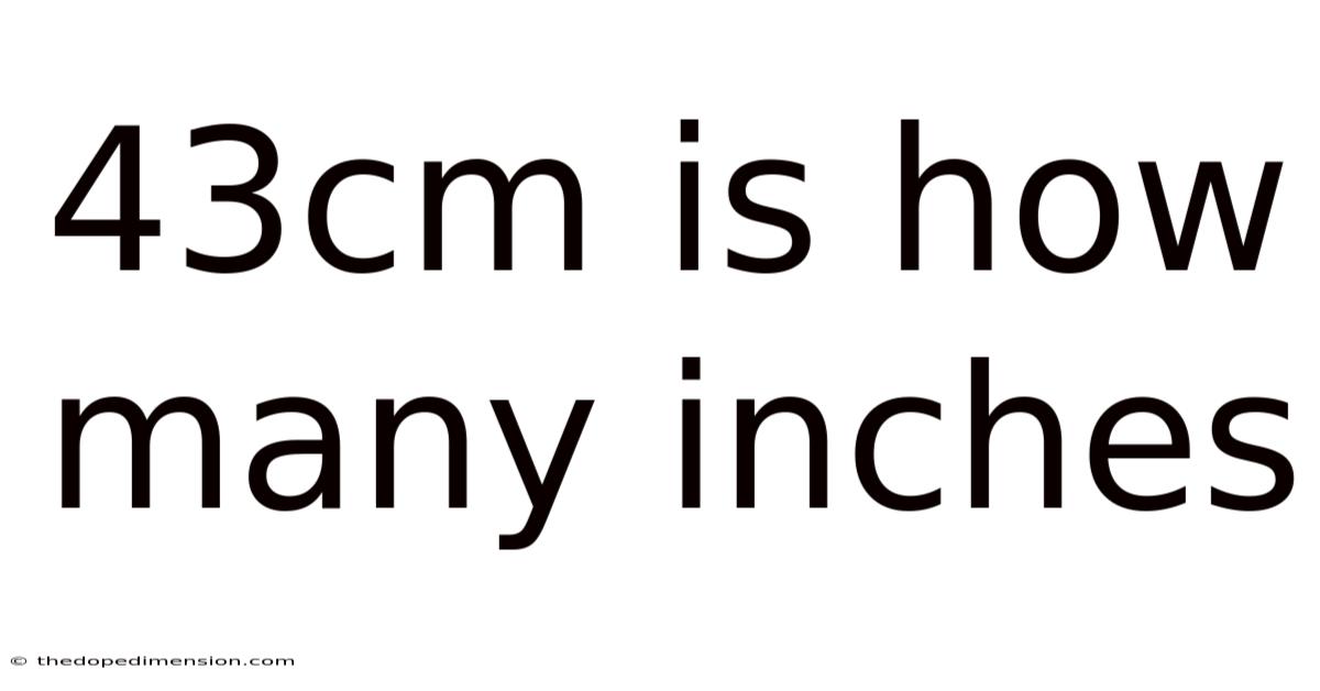 43cm Is How Many Inches