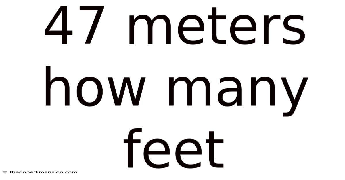 47 Meters How Many Feet