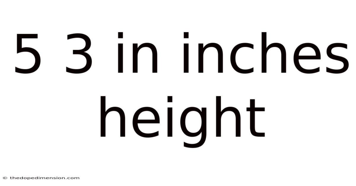 5 3 In Inches Height