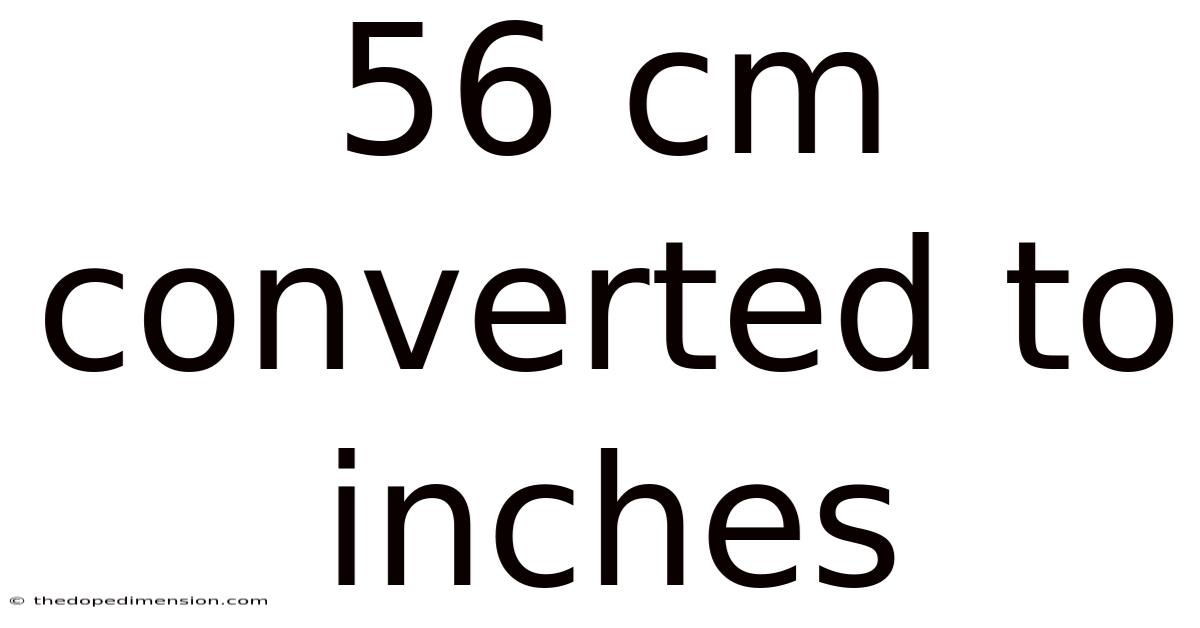 56 Cm Converted To Inches