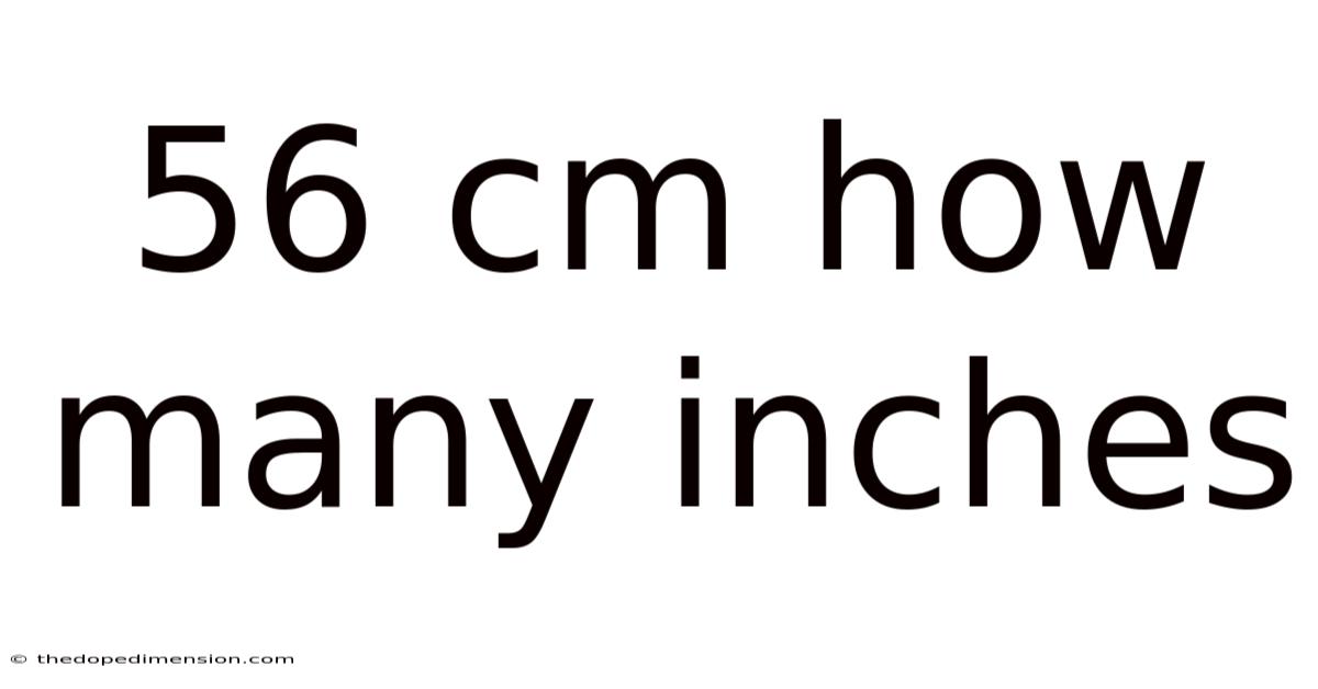 56 Cm How Many Inches