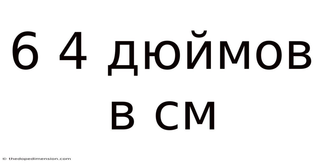 6 4 Дюймов В См