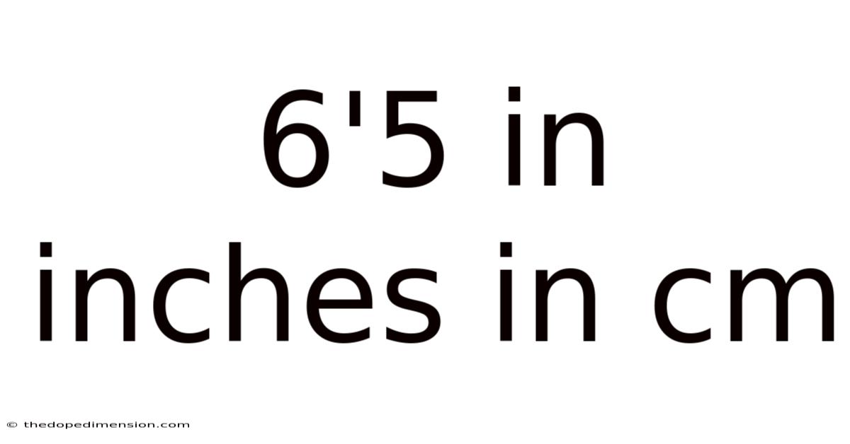 6'5 In Inches In Cm