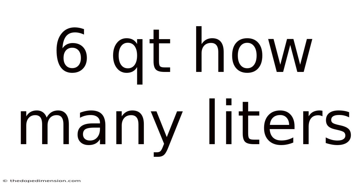 6 Qt How Many Liters