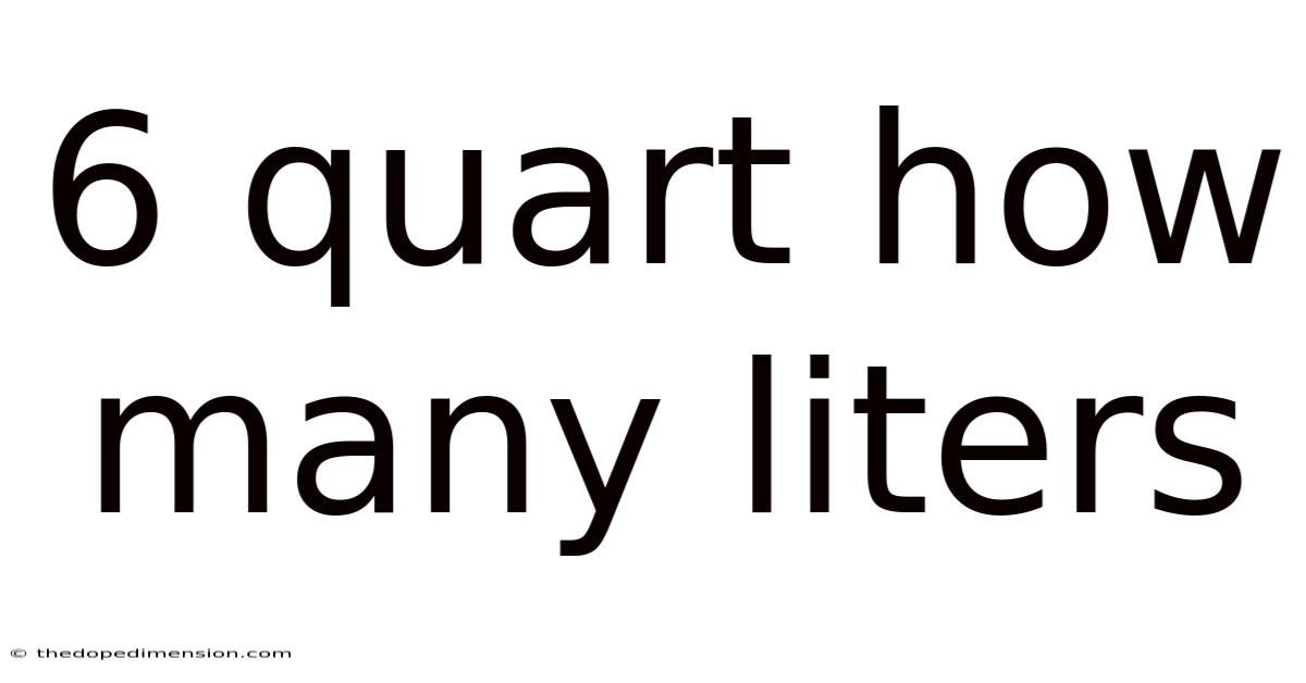 6 Quart How Many Liters