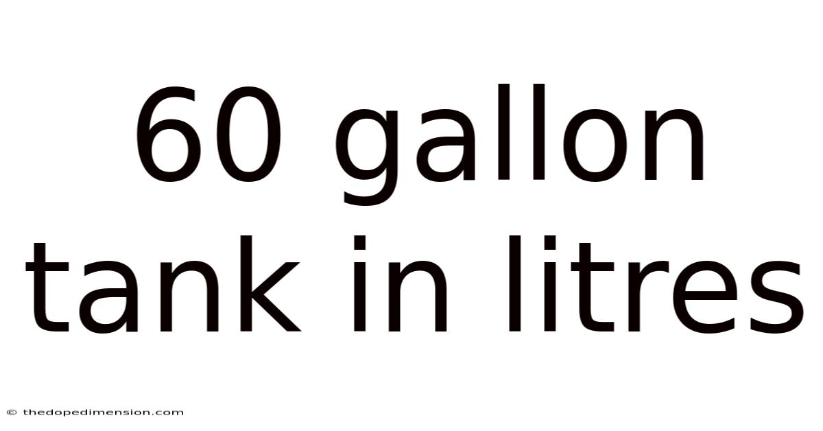 60 Gallon Tank In Litres