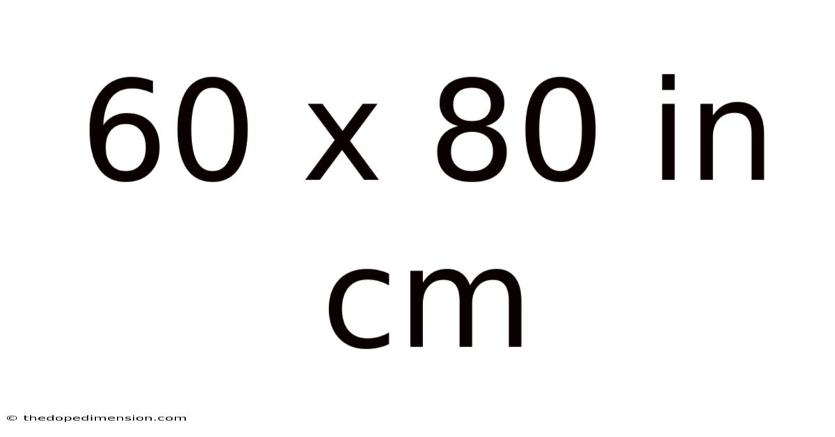60 X 80 In Cm