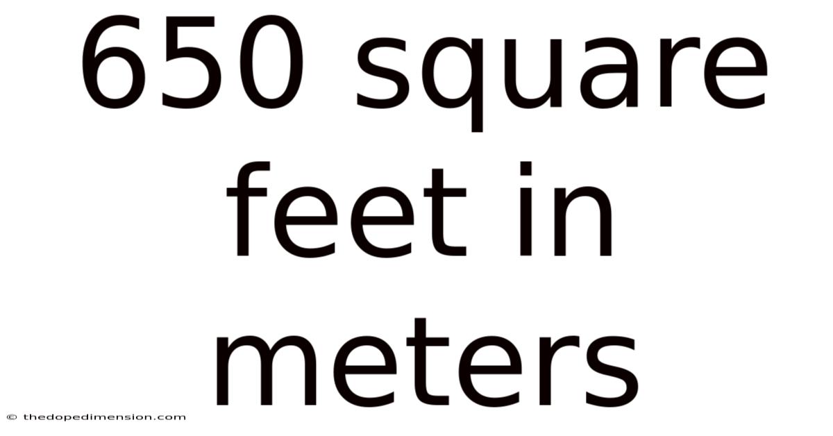 650 Square Feet In Meters