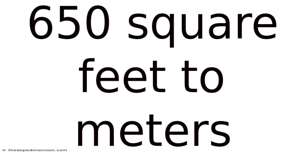 650 Square Feet To Meters