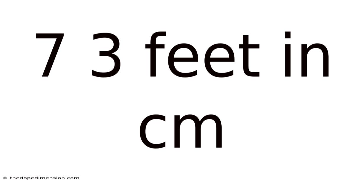 7 3 Feet In Cm