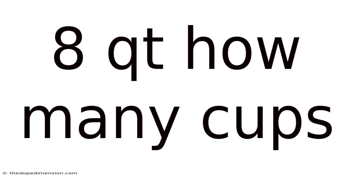8 Qt How Many Cups