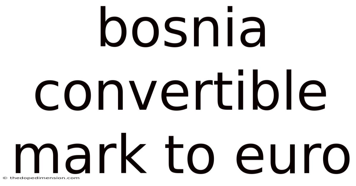 Bosnia Convertible Mark To Euro