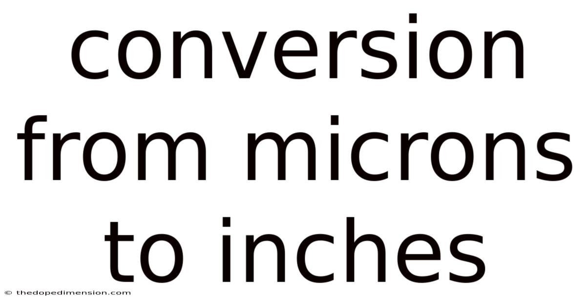 Conversion From Microns To Inches