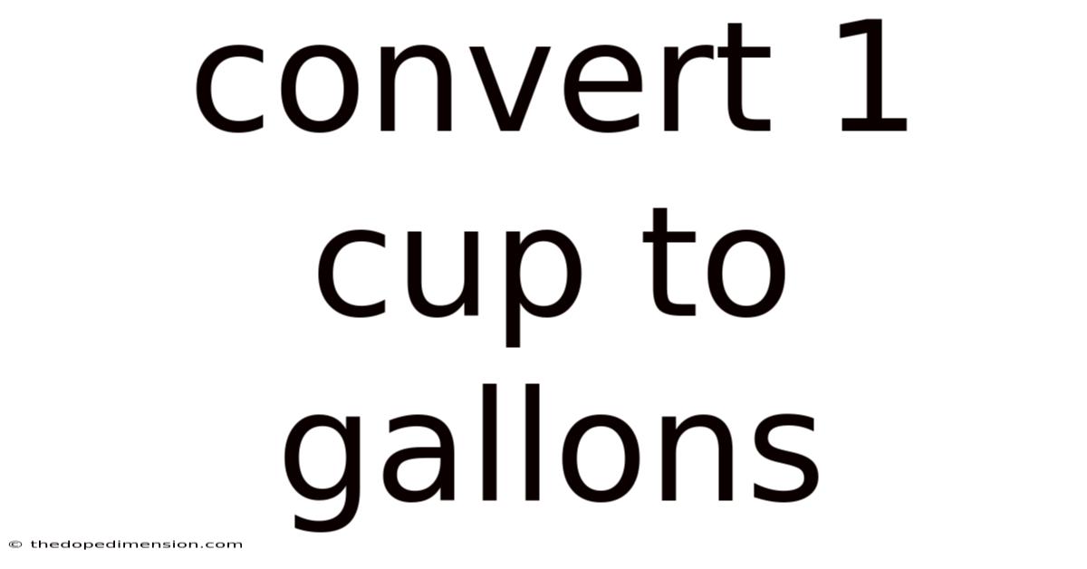 Convert 1 Cup To Gallons