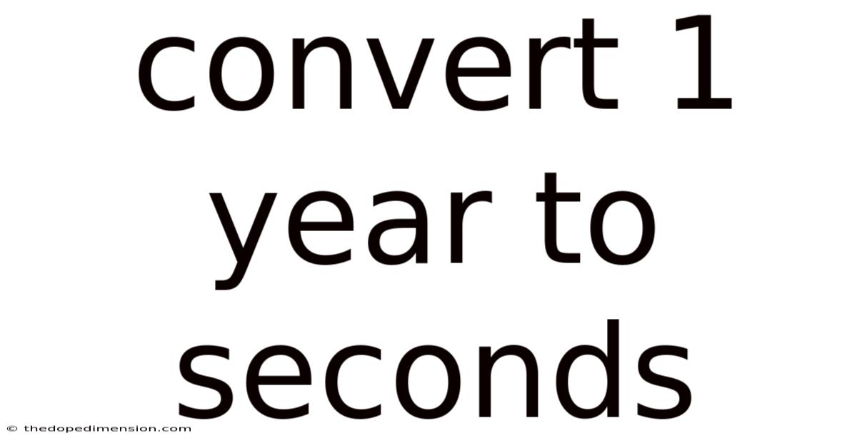 Convert 1 Year To Seconds