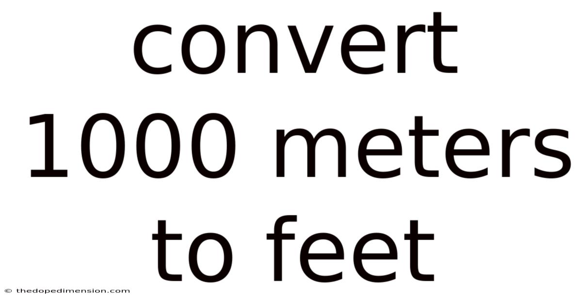 Convert 1000 Meters To Feet