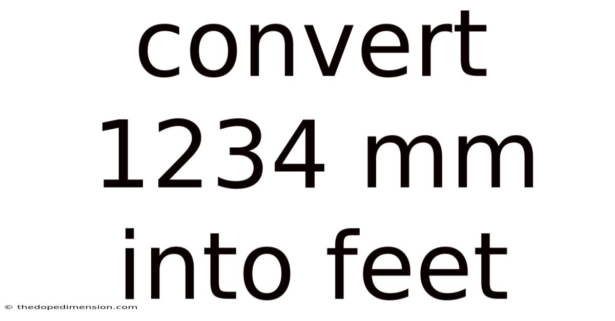 Convert 1234 Mm Into Feet