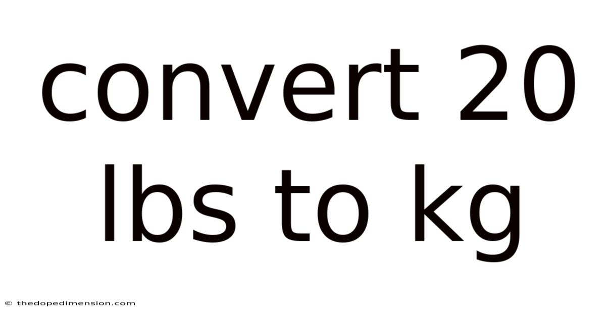 Convert 20 Lbs To Kg