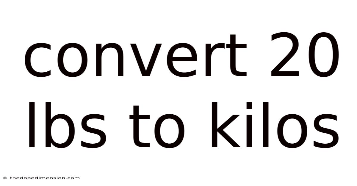 Convert 20 Lbs To Kilos