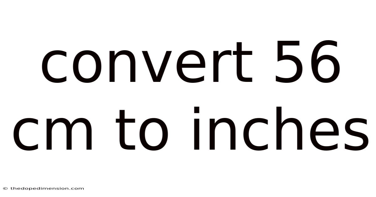 Convert 56 Cm To Inches