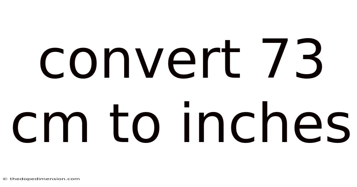 Convert 73 Cm To Inches