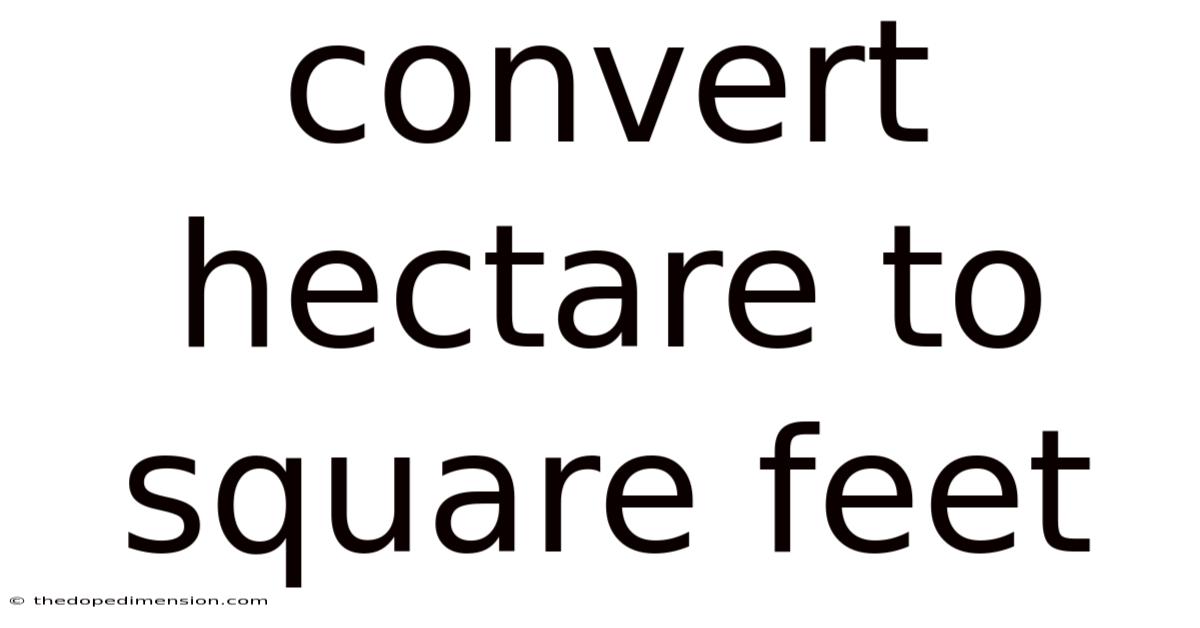 Convert Hectare To Square Feet