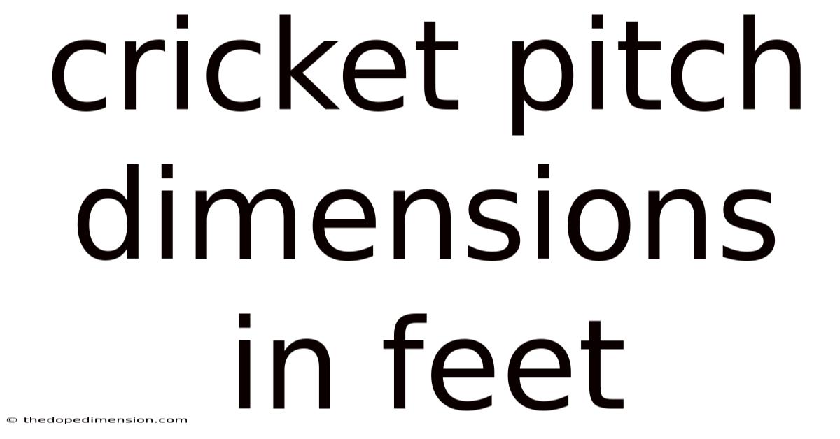 Cricket Pitch Dimensions In Feet