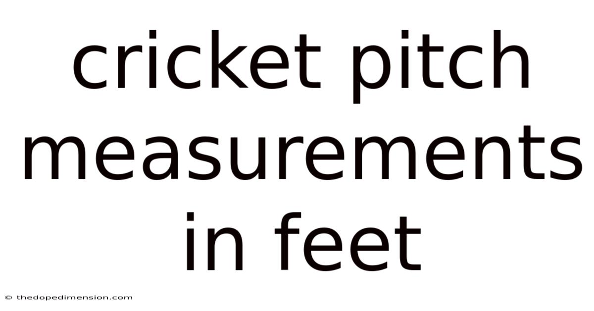 Cricket Pitch Measurements In Feet