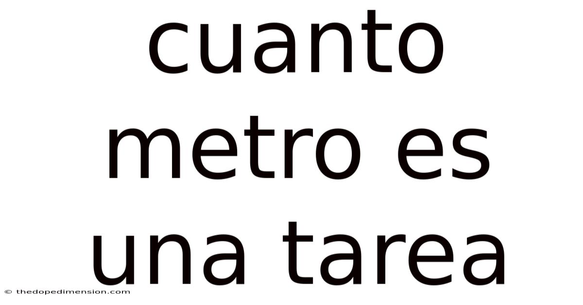 Cuanto Metro Es Una Tarea