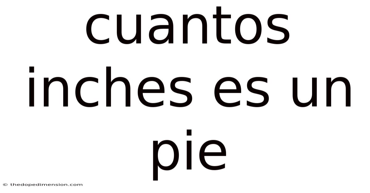Cuantos Inches Es Un Pie