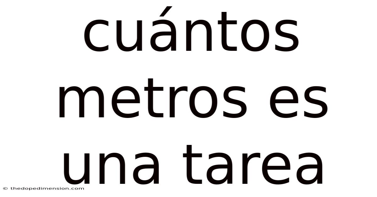 Cuántos Metros Es Una Tarea