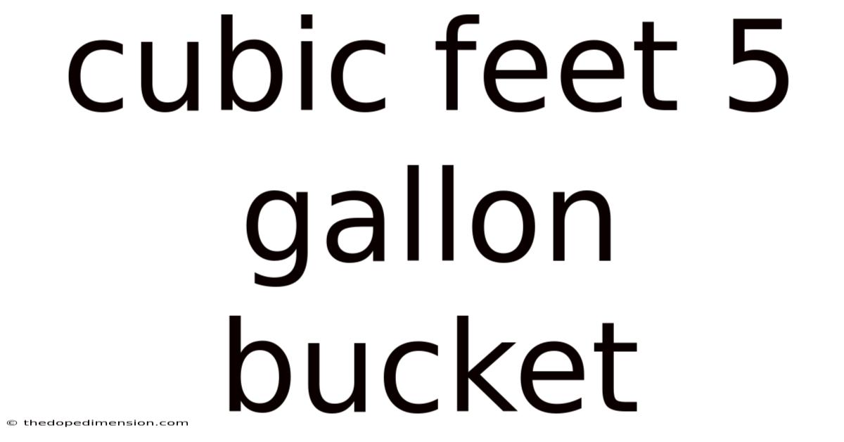 Cubic Feet 5 Gallon Bucket