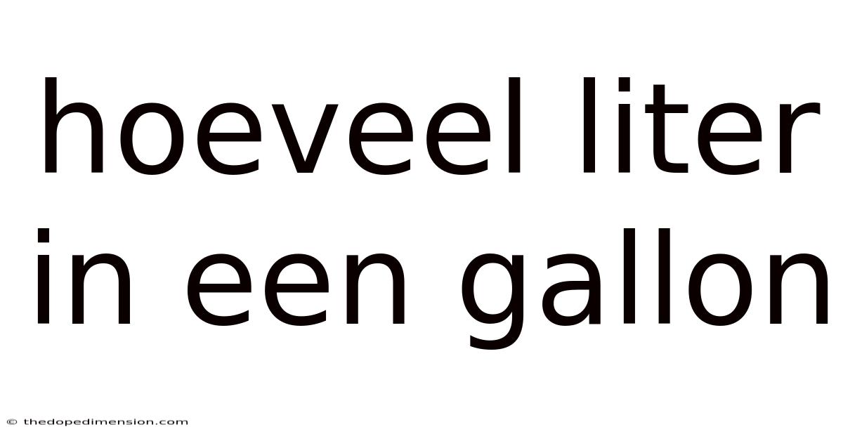 Hoeveel Liter In Een Gallon