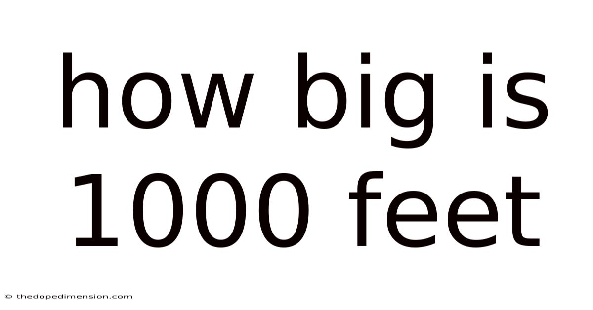 How Big Is 1000 Feet