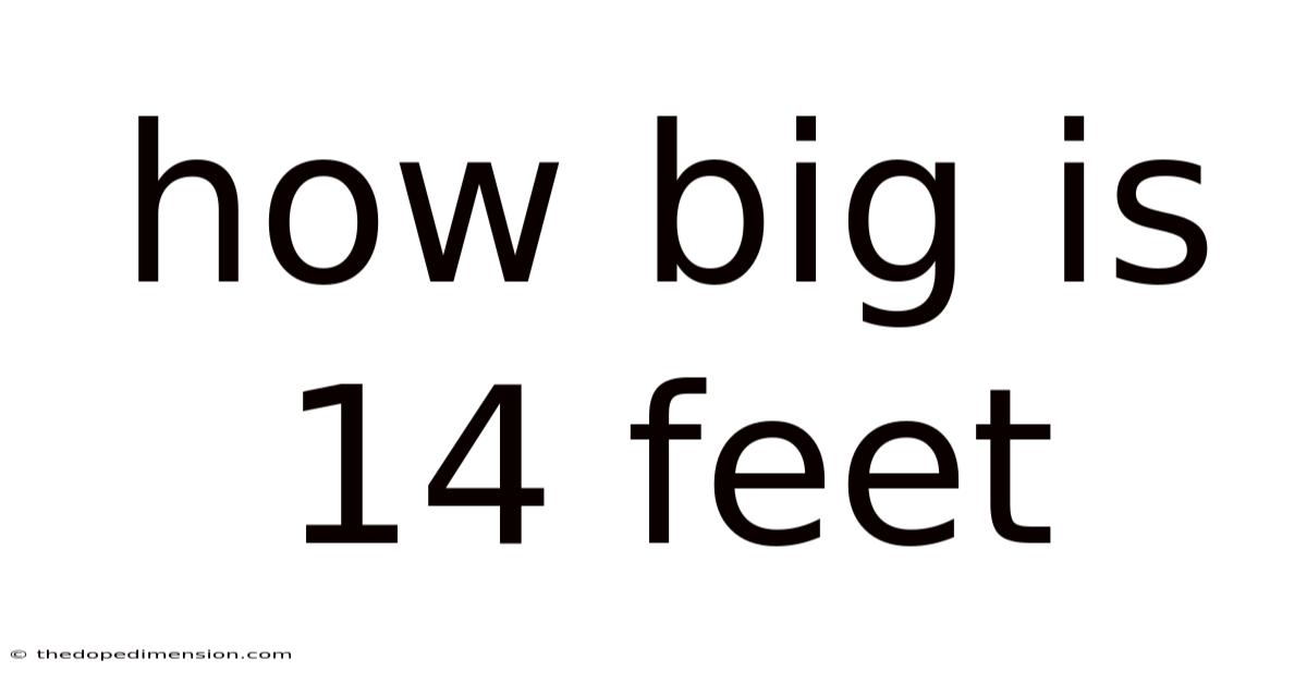 How Big Is 14 Feet
