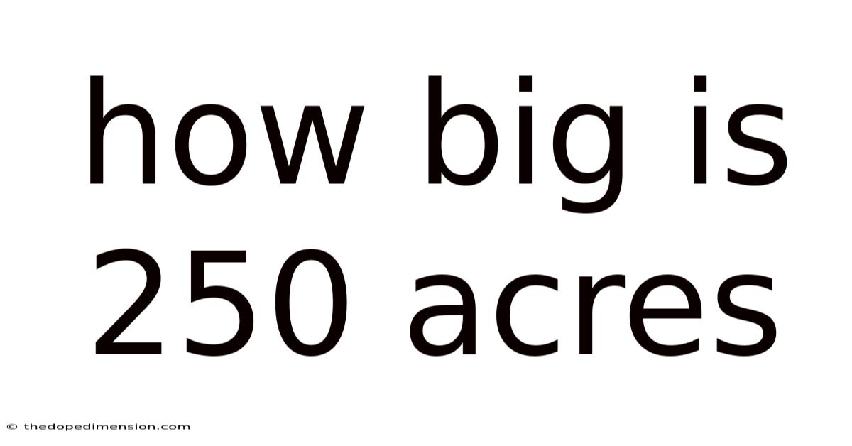 How Big Is 250 Acres