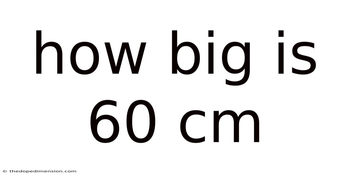 How Big Is 60 Cm
