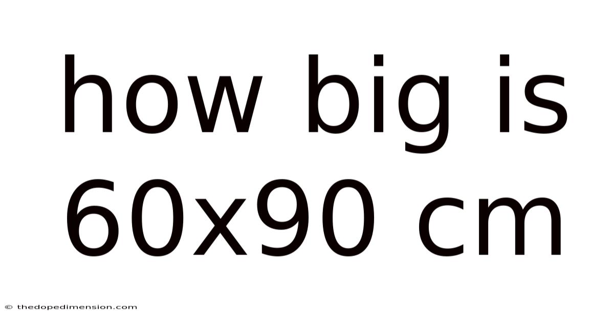 How Big Is 60x90 Cm