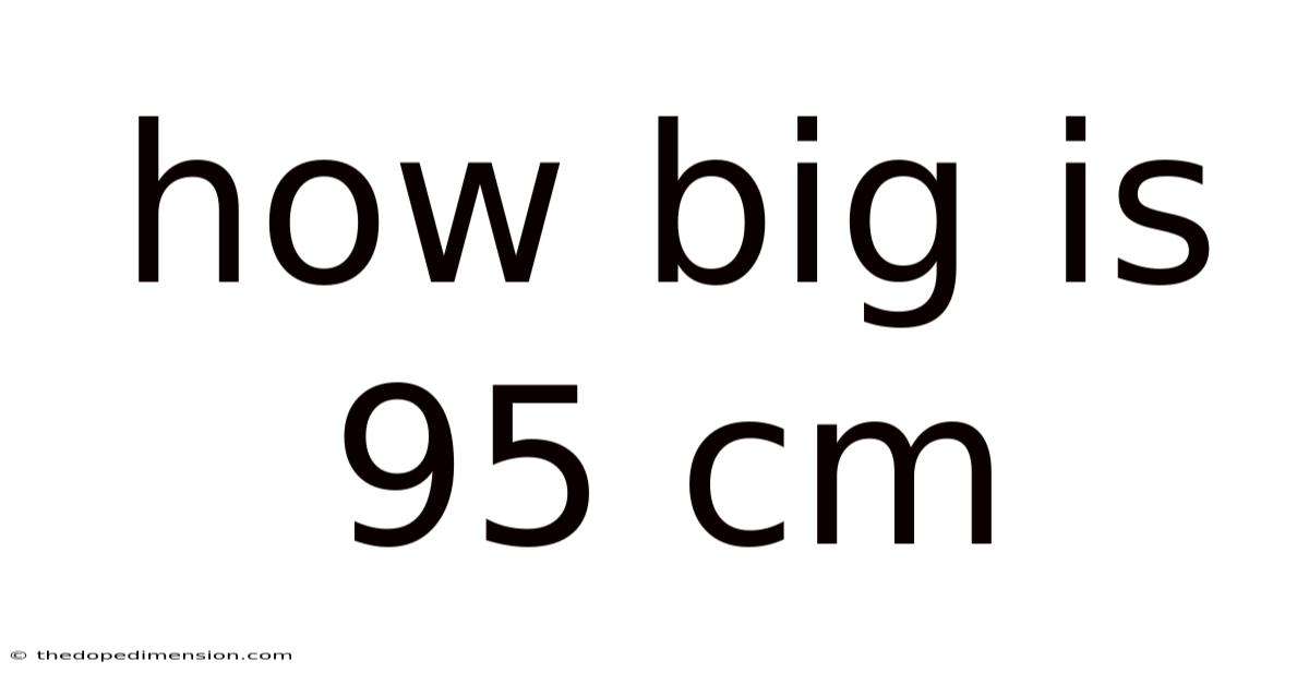 How Big Is 95 Cm