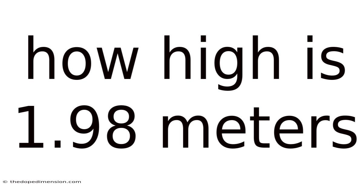 How High Is 1.98 Meters