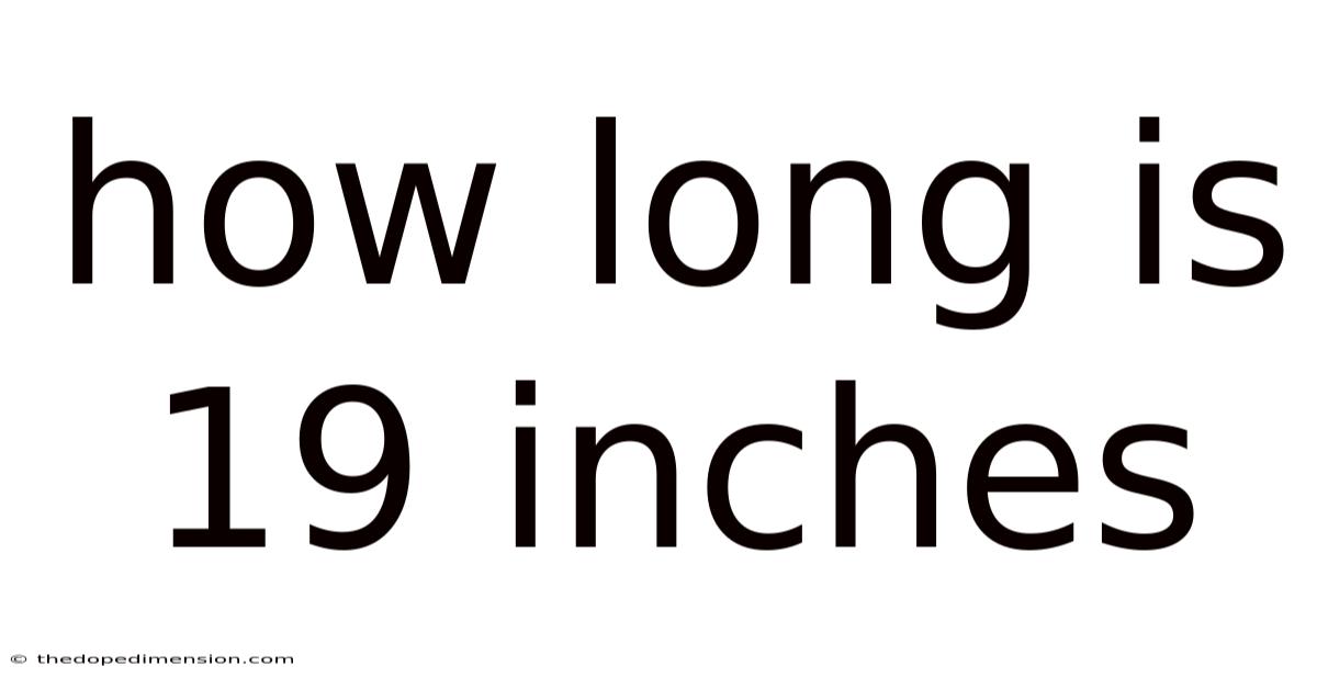 How Long Is 19 Inches